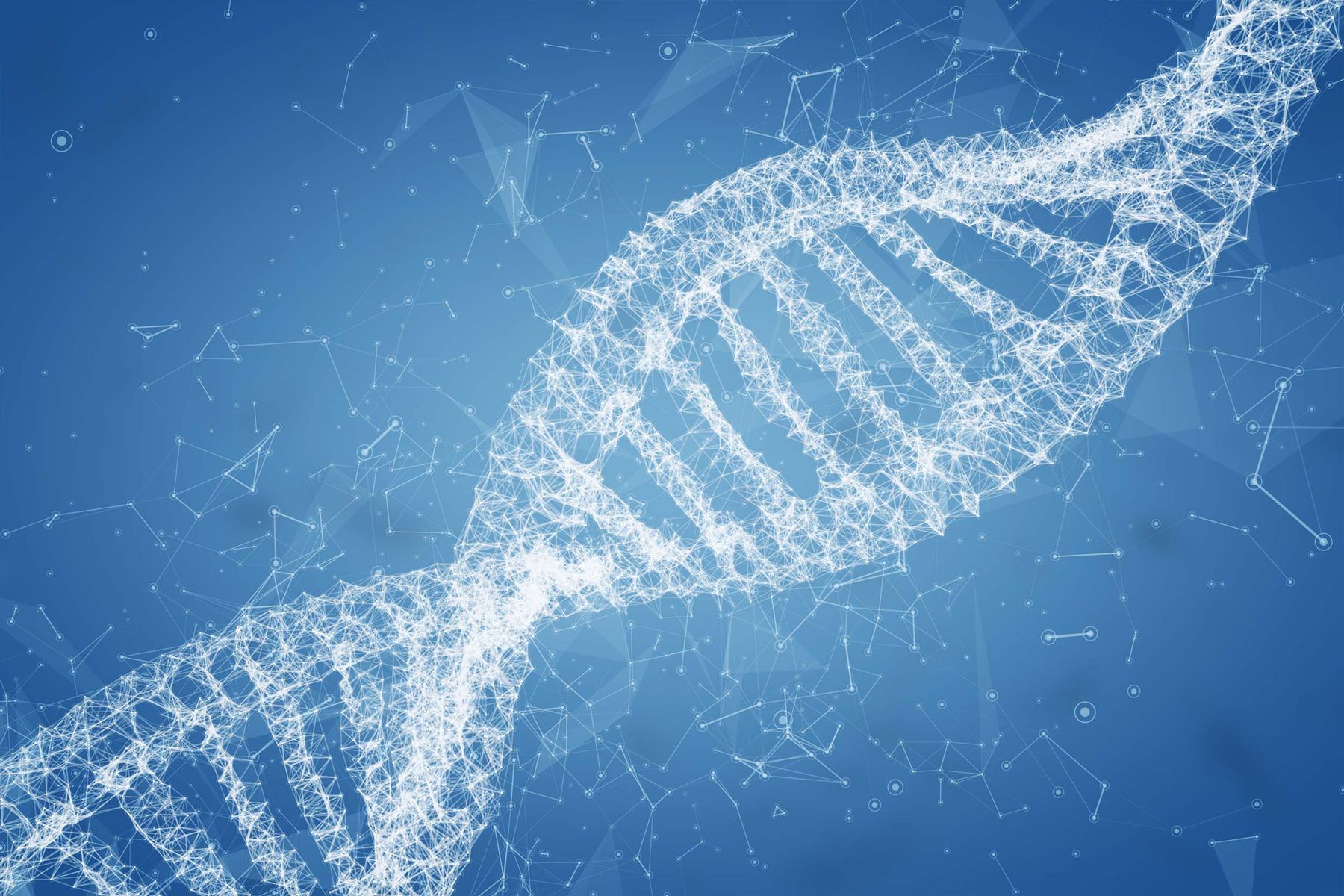 Life Science Vision Systems For Studying The Human Genome A3